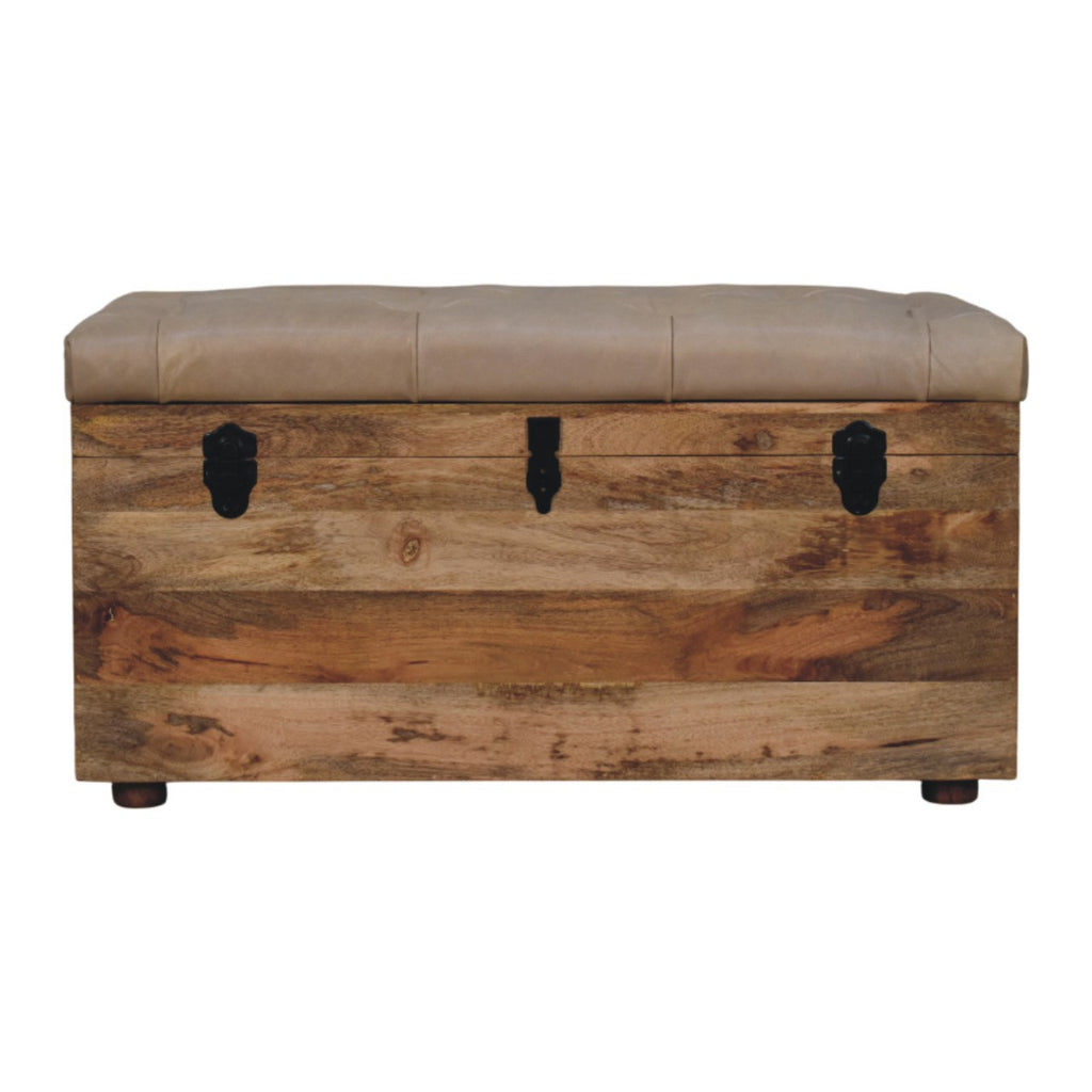 Coffre de rangement Beige buffle cuir